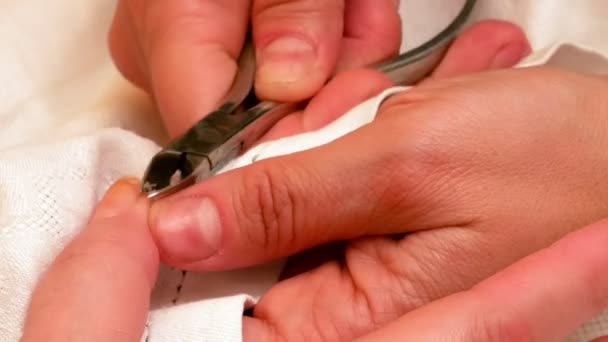Schilderij van manicure en nagels in spa salon polijsten — Stockvideo