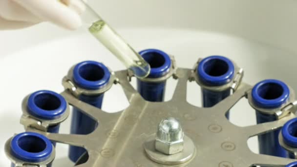 Kémiai laborban automatikus orvosi vért centrifuga — Stock videók