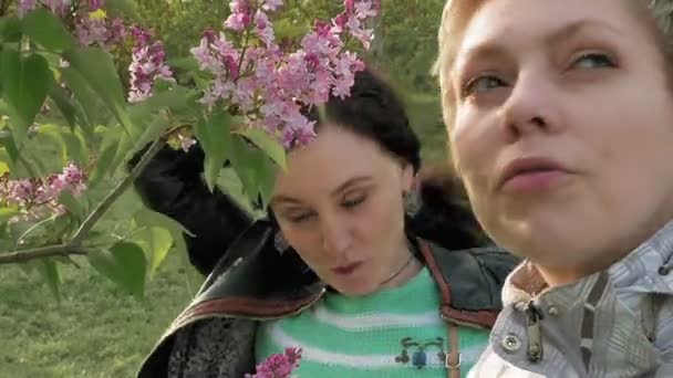 Two girls sniffing lilac flowers in the green park — Stock Video