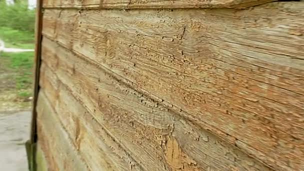 Casa velha paredes de madeira rica textura rastreamento tiro — Vídeo de Stock