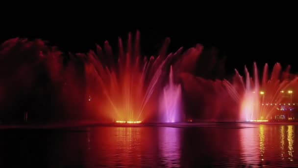 Fontana luminosa colorata con bellissimo riflesso — Video Stock
