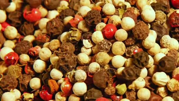Mix of spices: red black white green hot pepper — Stock Video