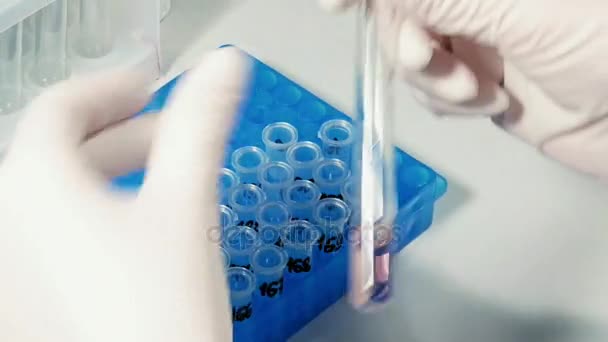 Científico técnico de laboratorio hace análisis químicos — Vídeo de stock