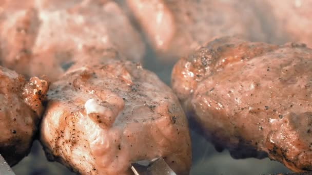 Espetos de churrasco com carne cozinhando na grelha — Vídeo de Stock