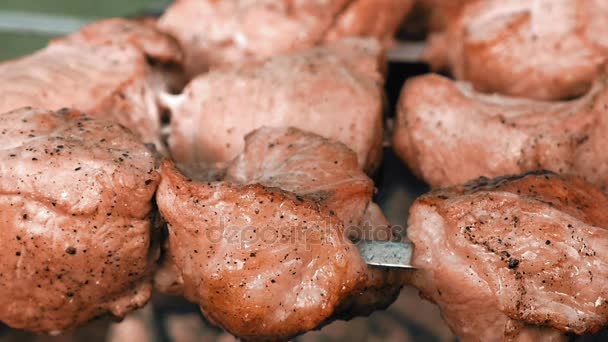 Barbecuespiesen met vlees koken op de grill — Stockvideo