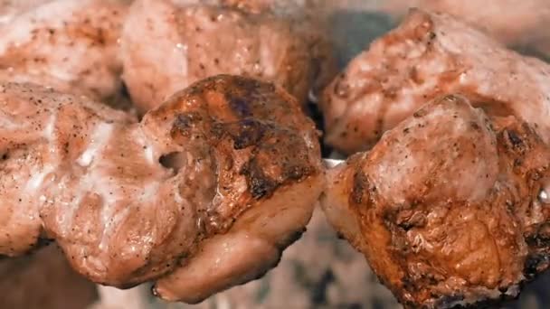 Espetos de churrasco com carne cozinhando na grelha — Vídeo de Stock