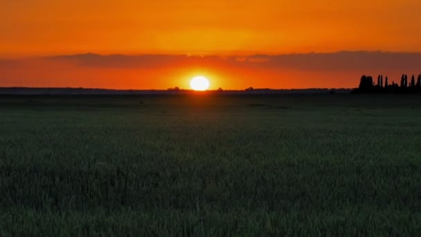 Coucher de soleil sur la nature pelouse avec des nuages — Video