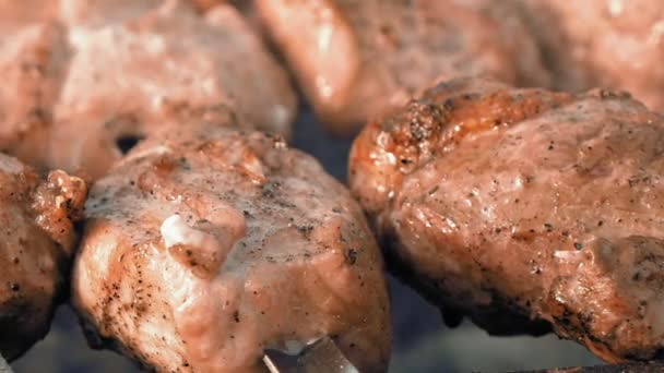 Brochetas de barbacoa con carne cocinada en la parrilla — Vídeos de Stock