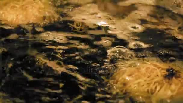 Pâte ronde dans une casserole chaude à l'huile de cuisson bouillante — Video