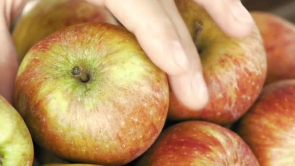 Tomar frutas frescas de manzana en el desayuno — Vídeo de stock