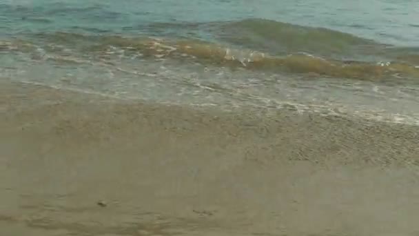 Olas rompiendo en la playa es la vista más relajante — Vídeo de stock