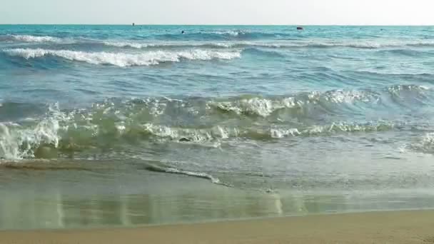 Аварійні хвилі на пляжі найспокійніший вид — стокове відео