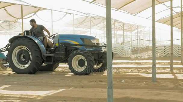 Un hombre tamiza arena en un tractor en una playa — Vídeos de Stock