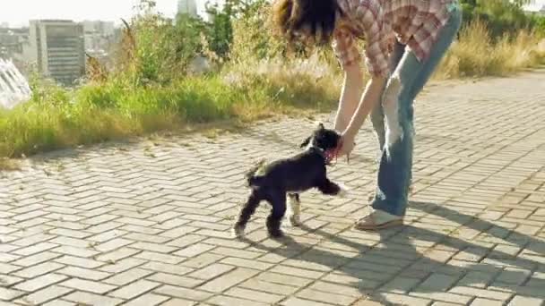 Ung kvinna leker med lilla söta hunden utomhus — Stockvideo