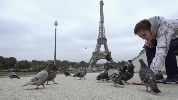 Femme nourrit des pigeons contre la Tour Eiffel — Video