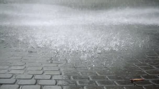 Lluvia gotas de lluvia caída — Vídeos de Stock