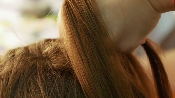 Ντυμένος θηλυκό μοντέλο να πάρει τα μαλλιά της — Αρχείο Βίντεο