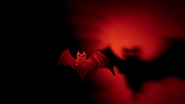 Απόκριες νυχτερίδα με τρομερή σκιά — Αρχείο Βίντεο