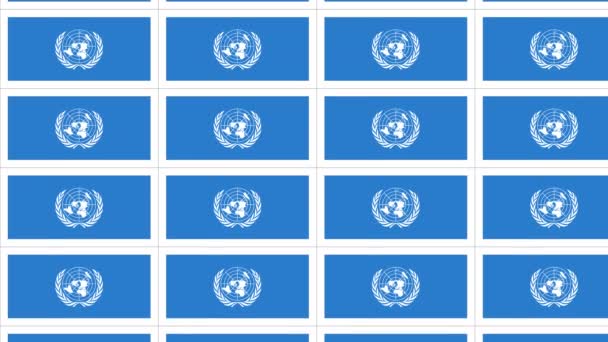 Pocztówki z flagą ONZ zapętlone — Wideo stockowe