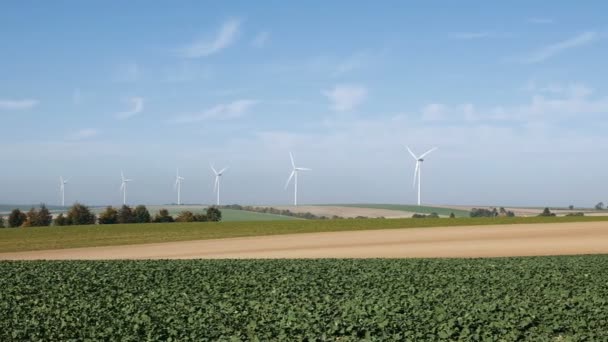 Windkraftanlagen zur Erzeugung erneuerbarer Energien — Stockvideo