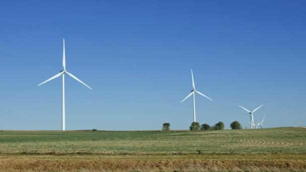 Vind turbiner förnybar energiproduktion — Stockvideo