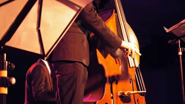 Pemain double bass di atas panggung — Stok Foto