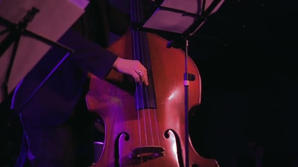 Double bass player on the stage slow motion — Stock Video