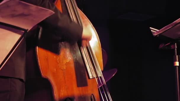 Contrabassist op het podium — Stockvideo