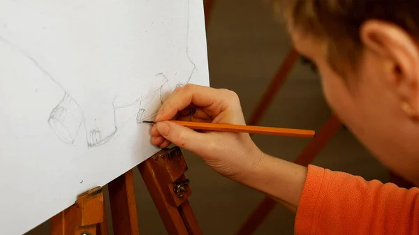 女性アーティストのアート スタジオで鉛筆スケッチを描画します — ストック写真