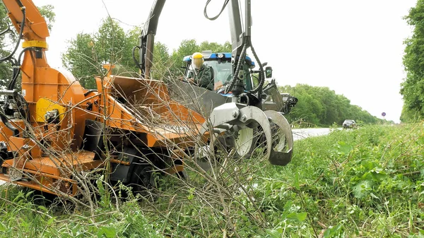 Gamla och torra grenar i en park att få rengörs — Stockfoto