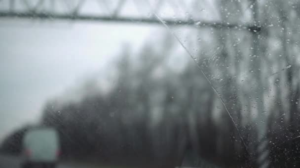 Gros plan de l'essuie-glace enlevant les gouttes de pluie — Video