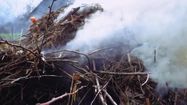 Сжигание и курение кучи ветвей и листьев — стоковое видео