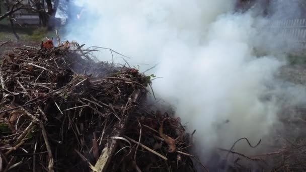 Burning and smoking heap of branches and leaves — Stock Video