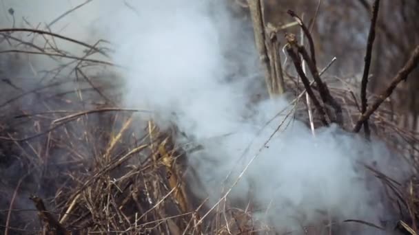 Burning and smoking heap of branches and leaves — Stock Video