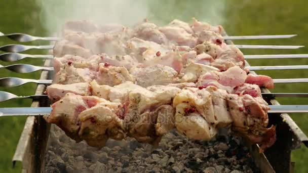 Timelapse de cuisson de la viande barbecue sur le gril — Video