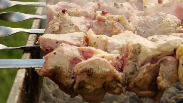 Timelapse de carne barbacoa cocinar en la parrilla — Vídeo de stock