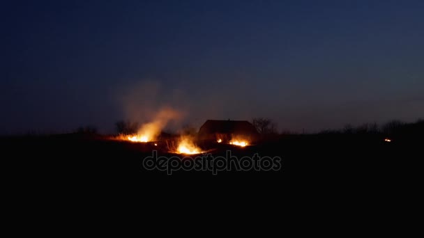 Feu sur le champ des fermiers la nuit — Video