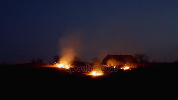 Пожар на поле ночью — стоковое видео