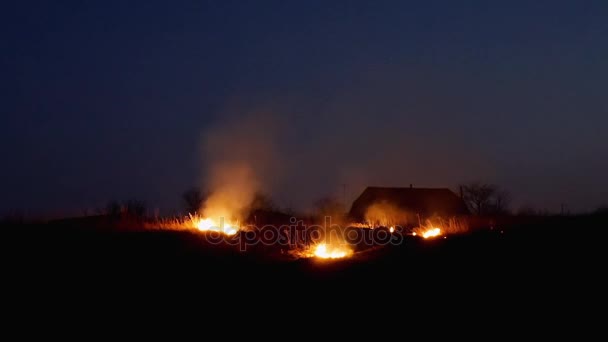 Feu sur le champ des fermiers la nuit — Video