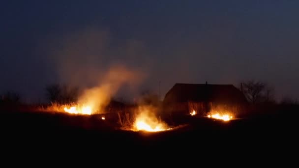 Fogo no campo de agricultores à noite — Vídeo de Stock