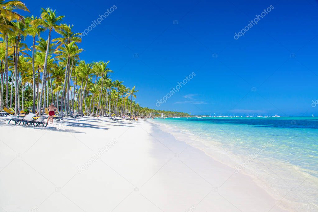 Coconut Palm trees on white sandy Bavaro beach in Punta Cana, Dominican Republic