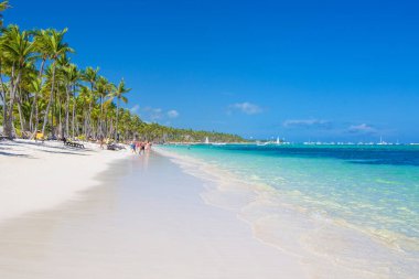 Güneşli bir günde Bavaro Sahili 'nin panoramik manzarası. Tropikal Bavaro Sahili beyaz bir kumdur ve güzel bir Atlantik Okyanusu 'dur. Dominik Cumhuriyeti 'nin en iyi plajlarından biri..