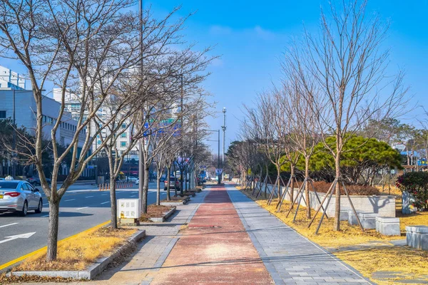 Vue Sur Ville Gwangju — Photo