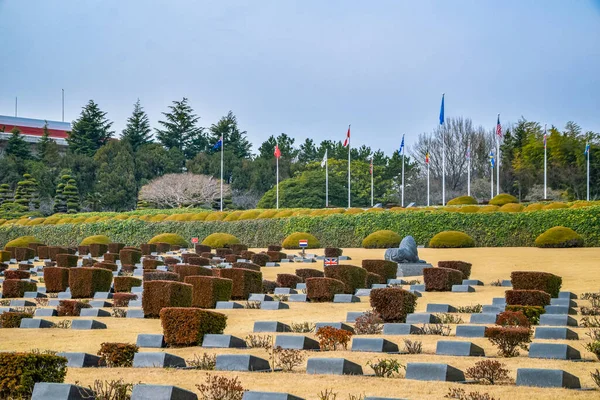 Busan South Korea 2020 United Nations Memorial Cemetery Korea Unmck — стокове фото