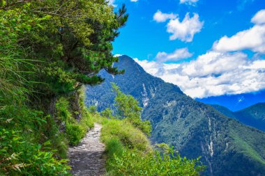 Jade Dağı Manzarası - Tayvan Adası 'nın en yüksek dağı 