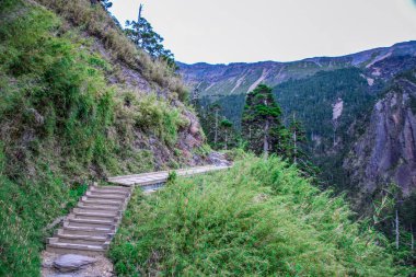 Jade Dağı Manzarası - Tayvan Adası 'nın en yüksek dağı 
