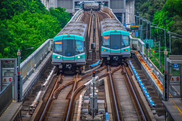 Kaohsiung Taiwan 2019 Kaohsiung Mrt Trains — стокове фото