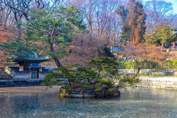 Séoul Corée Sud 2020 Buyeongji Pond Huwon Park Secret Garden — Photo