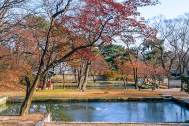 Seul, Güney Kore 1 / 12 / 2020 Changdeokgung, Joseon Hanedanı 'nın 
