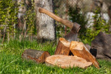Yeşil çimenli bir düzlükte baltayla yakılacak odun.